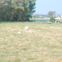 Charmehotel De stokerij te Oudenburg, West-Vlaanderen - Overnachten nabij Brugge, Oostende en De Haan